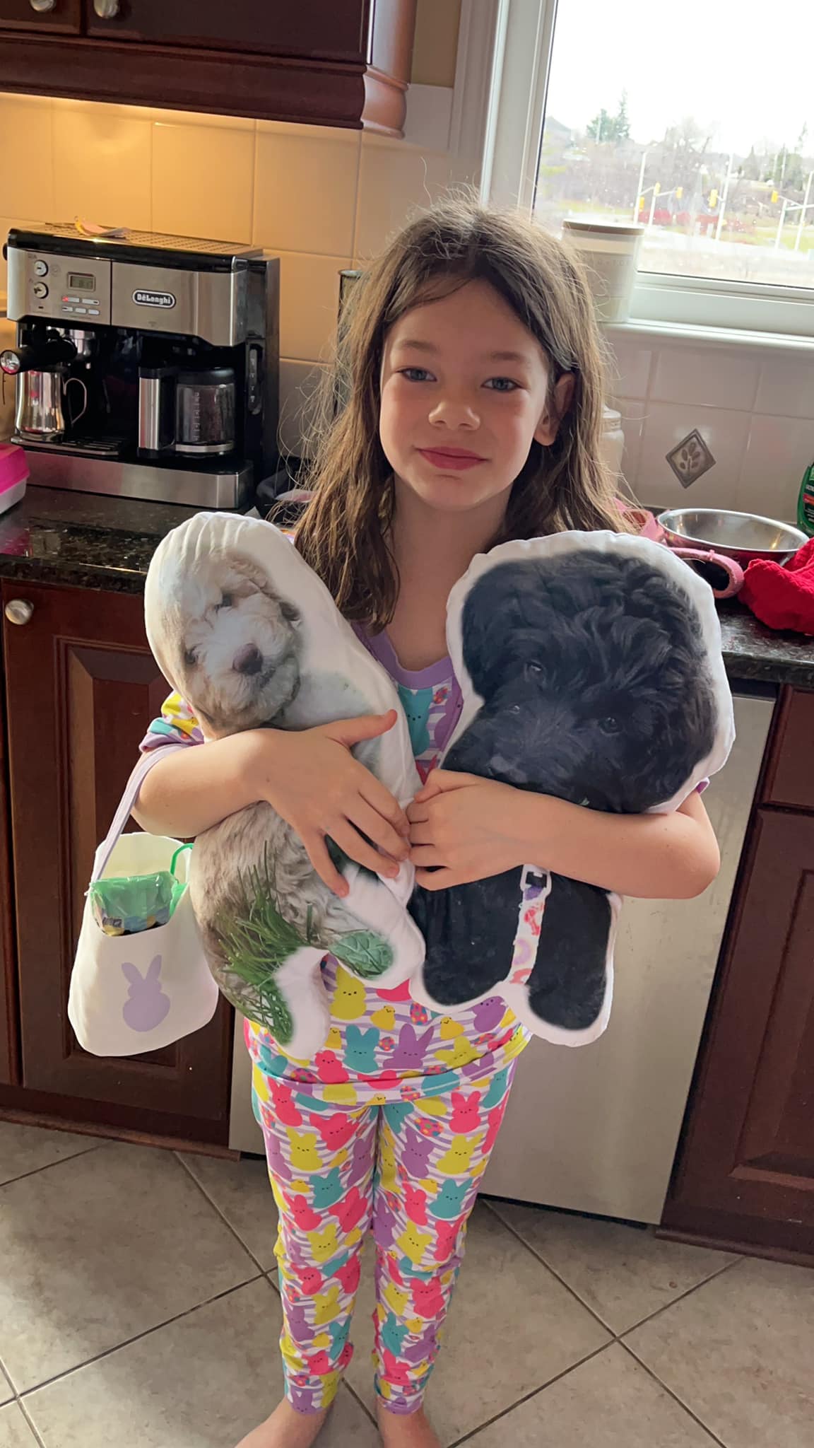 Custom Pet Pillows