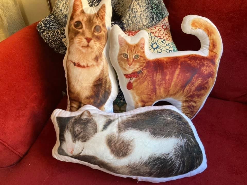 Custom Pet Pillows