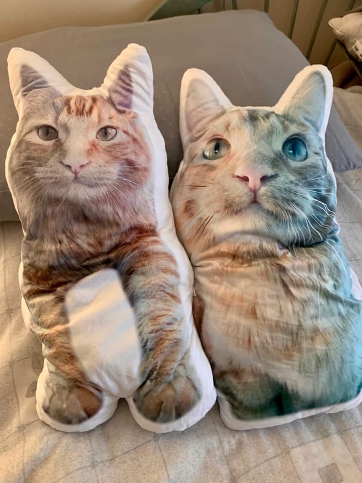 Custom Pet Pillows