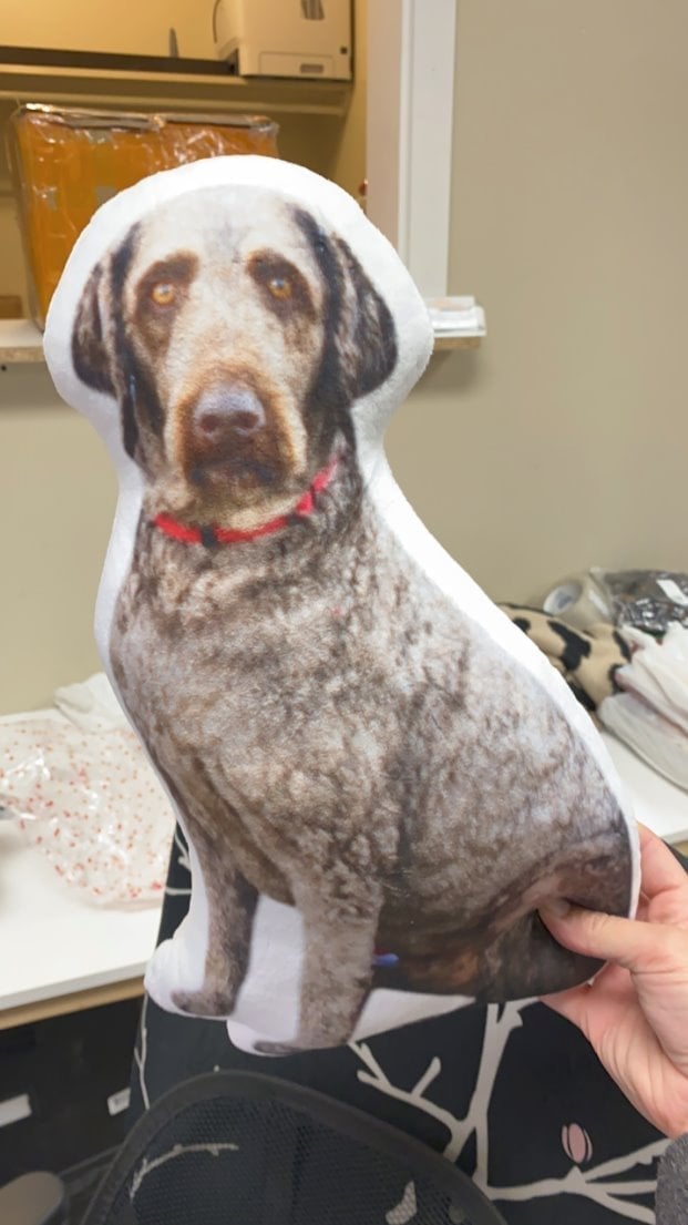 Custom Pet Pillows